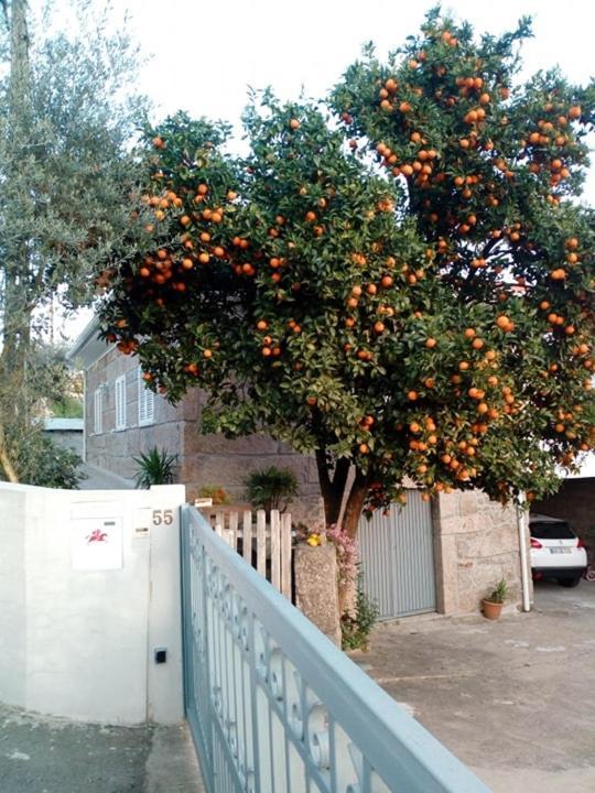 הוילה Outeiro  Vivenda Mendes מראה חיצוני תמונה